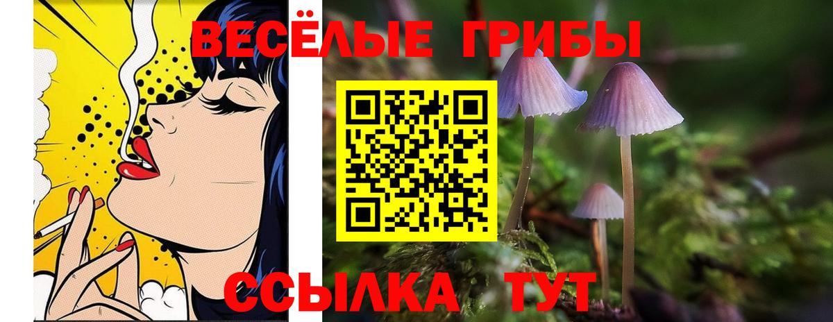 Галлюциногенные грибы прущие грибы Гулькевичи